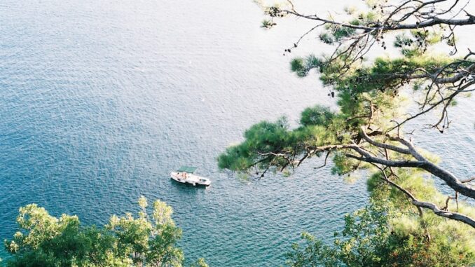 uploaded-image-dunya-mutfagindan-yemekler-1697899939759