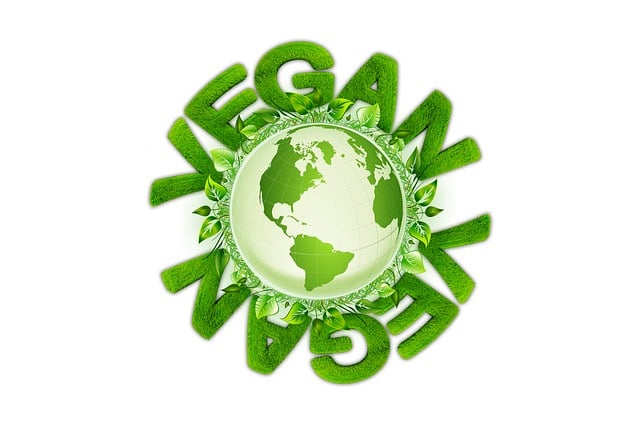 3. Vegan ve Vejetaryen Yemek Tarifleri 3. Vegan ve Vejetaryen Yemek Tarifleri